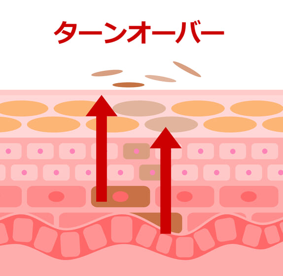 ターンオーバー