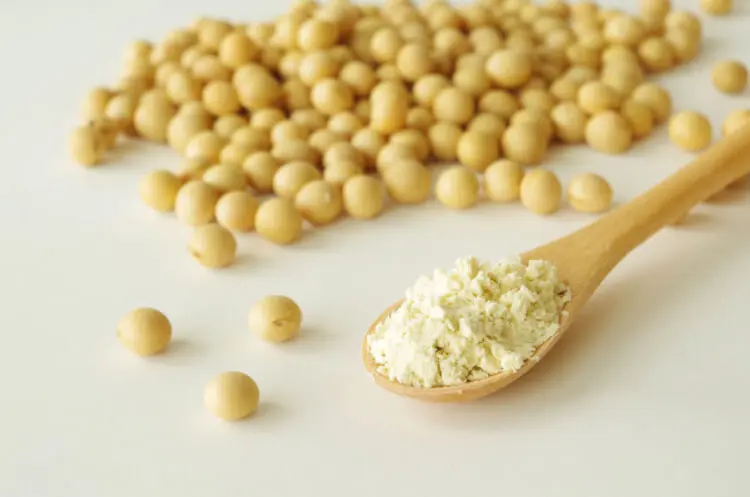 おからパウダーダイエット デメリット