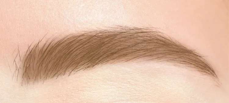 眉毛のクローズアップ