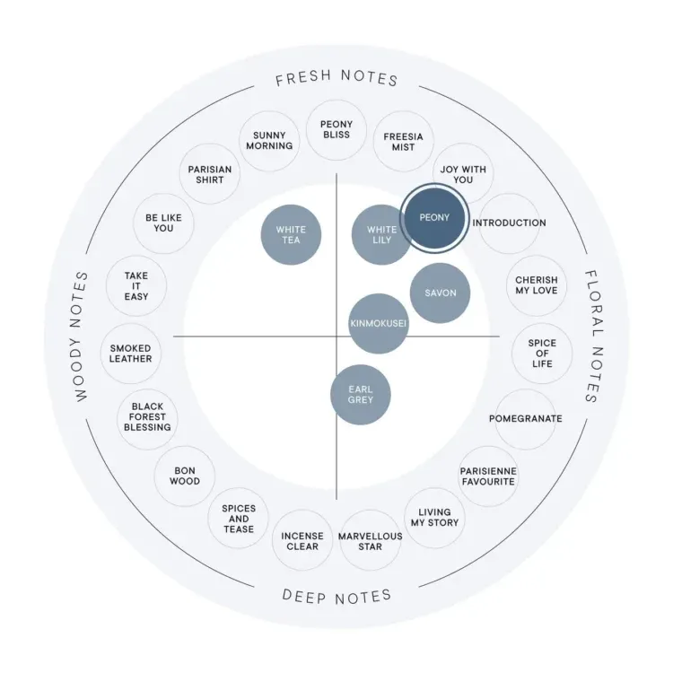 SHIRO FRAGRANCE CHART